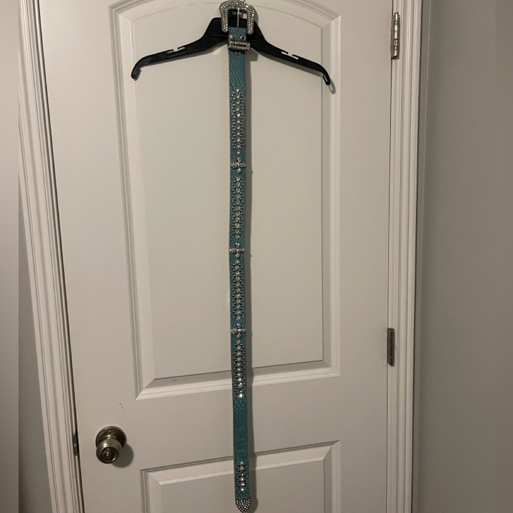 Dazzle Belt
